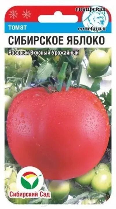 Насіння Томат Сибірське яблуко (високорослий) 20 шт від компанії ᐉ АГРОМАГАЗИН «ELIT-AGRO» / ТОВАРИ для будинку, саду, городу - фото 1