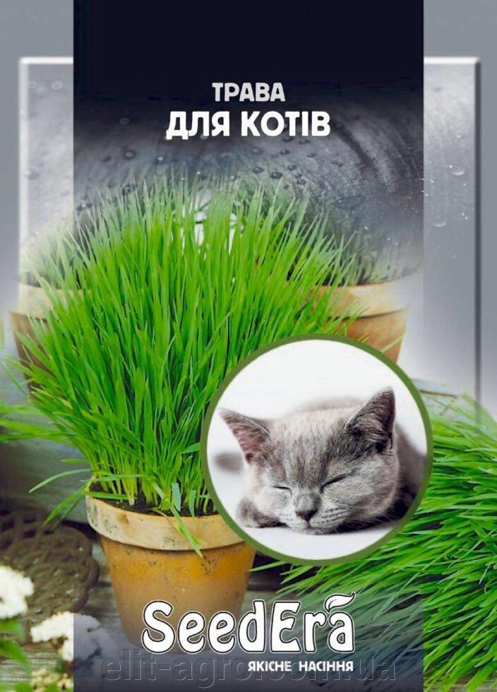 Насіння трав для котів, SeedEra 30 г від компанії ᐉ АГРОМАГАЗИН «ELIT-AGRO» / ТОВАРИ для будинку, саду, городу - фото 1