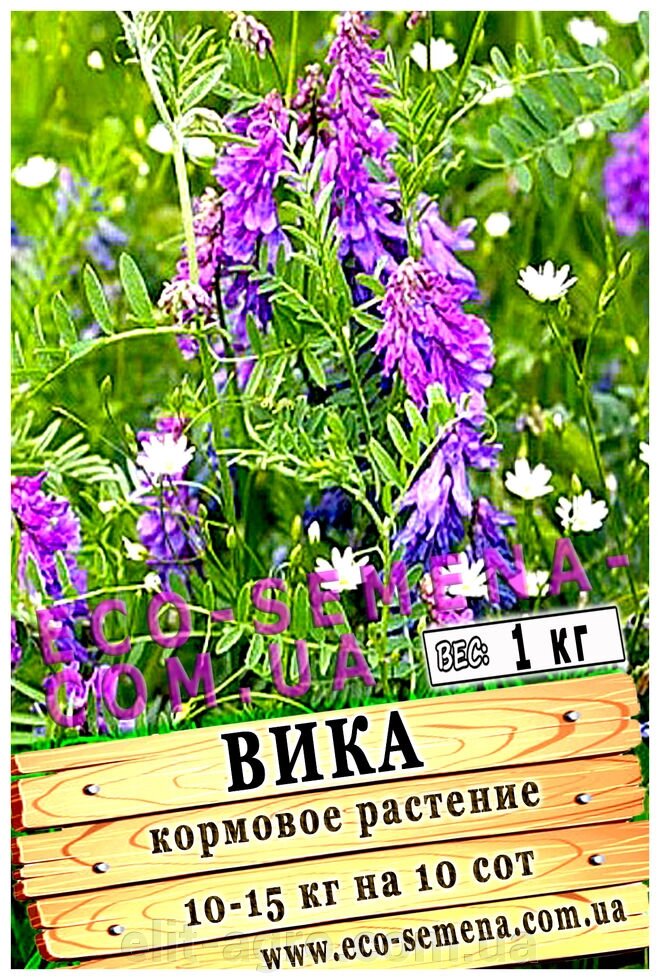 Насіння Віка посівна від 1 кг від компанії ᐉ АГРОМАГАЗИН «ELIT-AGRO» / ТОВАРИ для будинку, саду, городу - фото 1