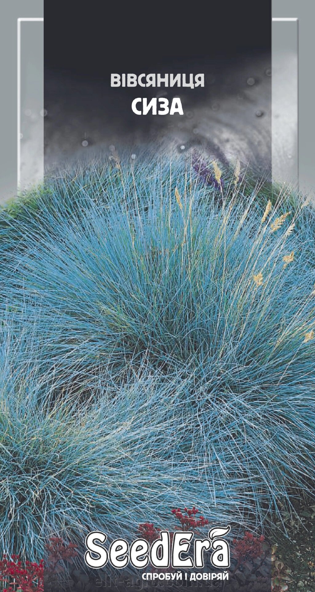 Насіння Вівсяниця сиза SeedEra 0,1 г від компанії ᐉ АГРОМАГАЗИН «ELIT-AGRO» / ТОВАРИ для будинку, саду, городу - фото 1