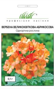 Насіння Вербена Великоквiткова Абрикосова, Профнасіння (Фасовка 0.1 г)