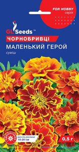 Насіння Чорнобривці Маленький герой, суміш, GL Seeds, 0.5г