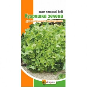 Насіння Салат бебі Кудряшка зелений Яскрава 1 г