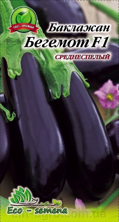 Eco-semena. Насіння Баклажан Бегемот, 30 шт - Україна