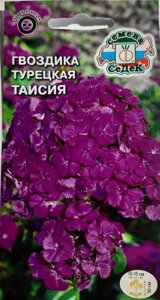 Насіння Квіти Гвоздика турецька Таїсія (дворічник) 0.3 г