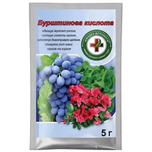 Україна. Стимулятор росту Бурштинова кислота (бурштинова кислота), 5 г в Київській області от компании ᐉ АгроМагазин «ELIT-AGRO» / ТОВАРЫ для дома, сада, огорода