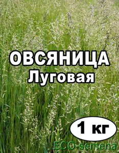 Насіння Трава Овсяниця Лугова 1 кг