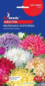 Насіння Айстра Маленька королева, суміш (Gl Seeds 0,3 г)