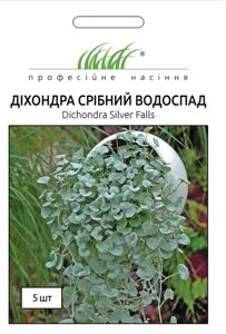 Квіти Дихондра Срібний водоспад Професійне насіння 5 шт