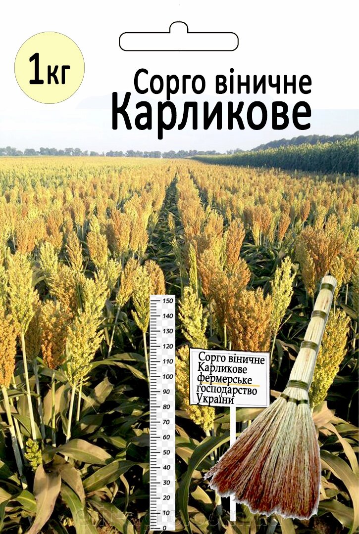 Насіння Сорго віничне карликове 1 кг - знижка