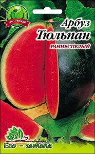 Eco-semena. Насіння Кавун Тюльпан, 10 г в Київській області от компании ᐉ АгроМагазин «ELIT-AGRO» / ТОВАРЫ для дома, сада, огорода