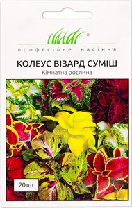 Колеус Візард суміш Професійне насіння 20 шт