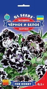 Насіння Гвоздика махрова Чорне і Біле, GL Seeds, 0.1г