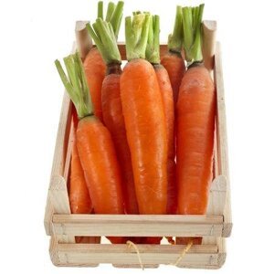 Імпорт моркви