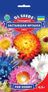 GL Seeds. Семена сухоцветы Застывшая музика (смесь), 0.5 г