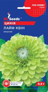 Цинія (майори) Лайм Квін GL Seeds 0,5 г