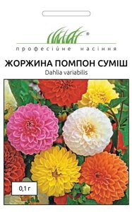 Насіння Георгіна Махрова Помпон суміш, Профнасіння, 0.1 г.