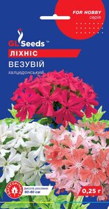 Насіння Квіти Ліхніс Везувій (GL Seeds 0.25 г)