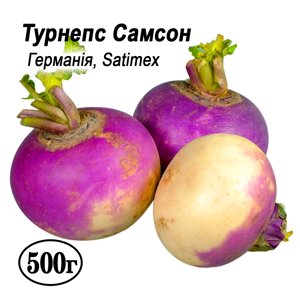 Насіння Турнепс Самсон (бруква, ріпа кормова) 0.5 кг