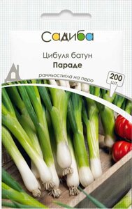 Насіння Цибуля Параде (на зелень) Bejo Zaden/Нідерланди 200 шт