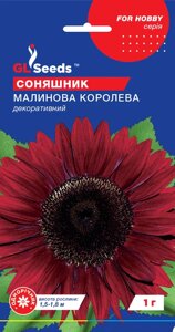 Соняшник декоративний Малинова королева GL Seeds 1 г