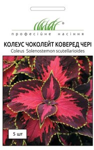 Колеус Чоколейт Коверед Чері Професійне насіння 5 шт