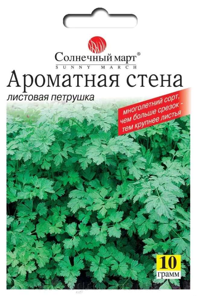 Насіння Петрушка листова Ароматна стіна, Сонячний березень, 10 г - замовити