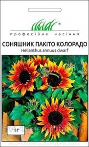 Насіння Квіти Соняшник Пакито Колорадо, Профсемена 1 г