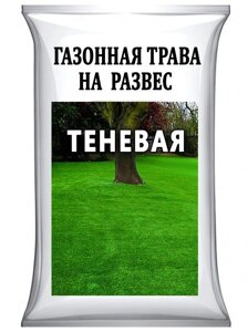 Україна. Насіння Трава Газонна Тіньова, на вагу від 1 кг