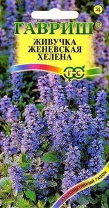 Насіння квітів Живучка женевська Хелена Гавриш 0.02г