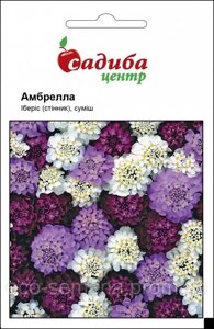 Насіння Квіти Іберіс Амбрелла (Садиба центр/0.5 г.)