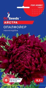 Насіння Айстра Опал Фойєр (Gl Seeds 0,3 г)