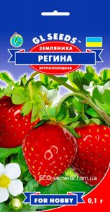 Суниця Регіна садові ремонтантна багаторічна / 0,1 г в Київській області от компании ᐉ АгроМагазин «ELIT-AGRO» / ТОВАРЫ для дома, сада, огорода