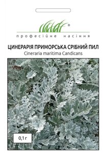 Цинерарія Срібний пил Профсемена (Фасовка: 0,1 г.)