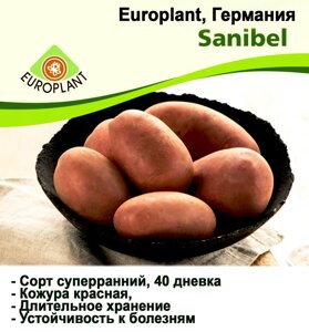 Картопля Санібел Europlant Німеччина суперранній 40 дневка 1 кг