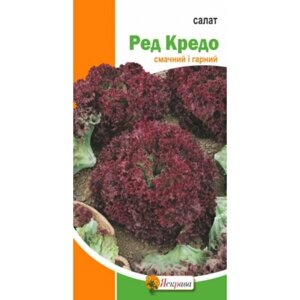 Насіння Салат Ред Кредо Яскрава 1 г