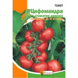 Насіння Томат Цифомандра (томатне дерево) Яскрава 0,1 г