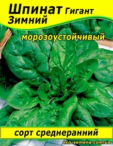 Насіння Шпинат Гігантський 500 г