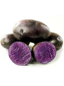 Картопля насіннєва Солоха, фіолетовий, ексклюзив (1 репродукція), 1кг