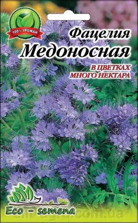 Насіння Квіти Фацелія медоносна посівна / 30 г - розпродаж