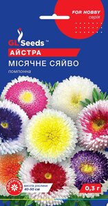 Насіння Айстра Місячне сяйво суміш, помпонна (GL Seeds 0,3 г)