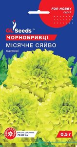 Чорнобривці Місячне сяйво GL Seeds 0,5 р