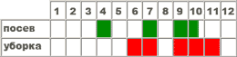 Свекла Кросби F1