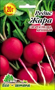 Eco-semena. Насіння редис Спека, 20 г в Київській області от компании ᐉ АгроМагазин «ELIT-AGRO» / ТОВАРЫ для дома, сада, огорода