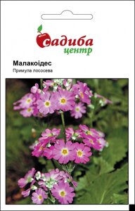 Примула Малакоідес Лососева, Садиба Центр (Фасовка: 0.01 г.)