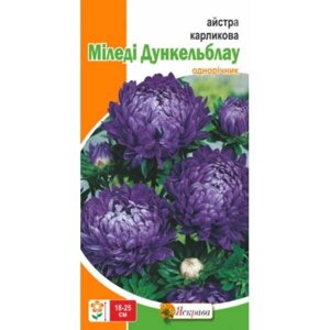 Насіння Айстра карликова Міледі Дункельблау Яскрава (Фасовка: 0.3 г)