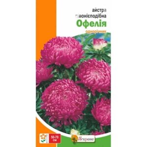 Насіння Айстра півонієподібна Офелія (Фасовка: 0.3 г)