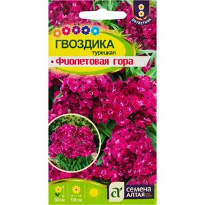Насіння Квіти Гвоздика турецька фіолетова гора (двурічник) 0.2 г