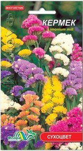 Насіння Квіти Кермек суміш (сухоцвіт) Флора Маркет 0,05 г