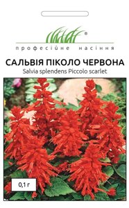 Насіння Квіти Сальвія Піколо Червона, Профнасіння, 0.1 г